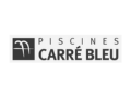 logo carre bleu